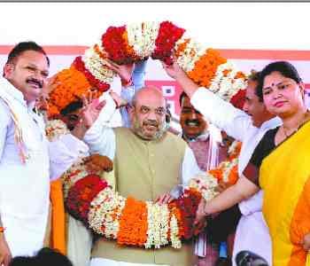 Election issue will occupy government land