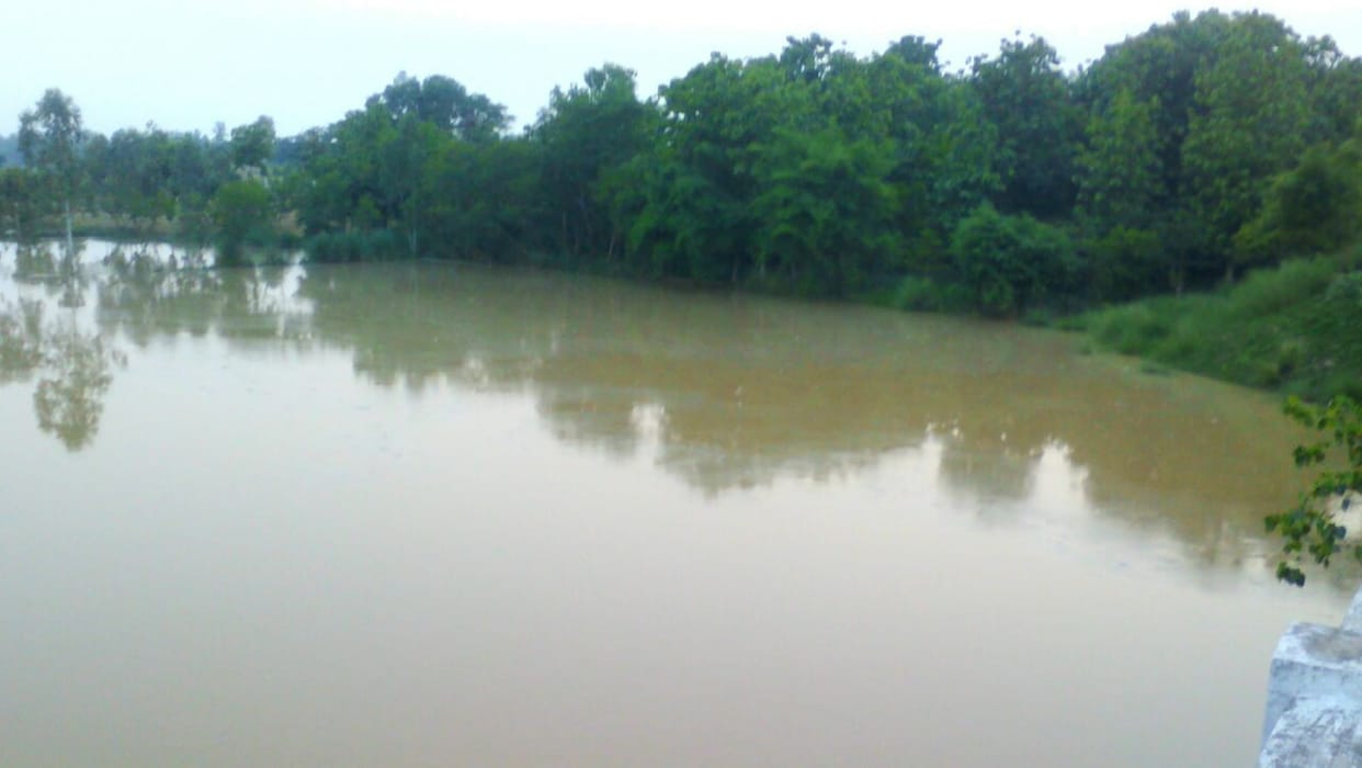 Hundreds of acres of crop submerged