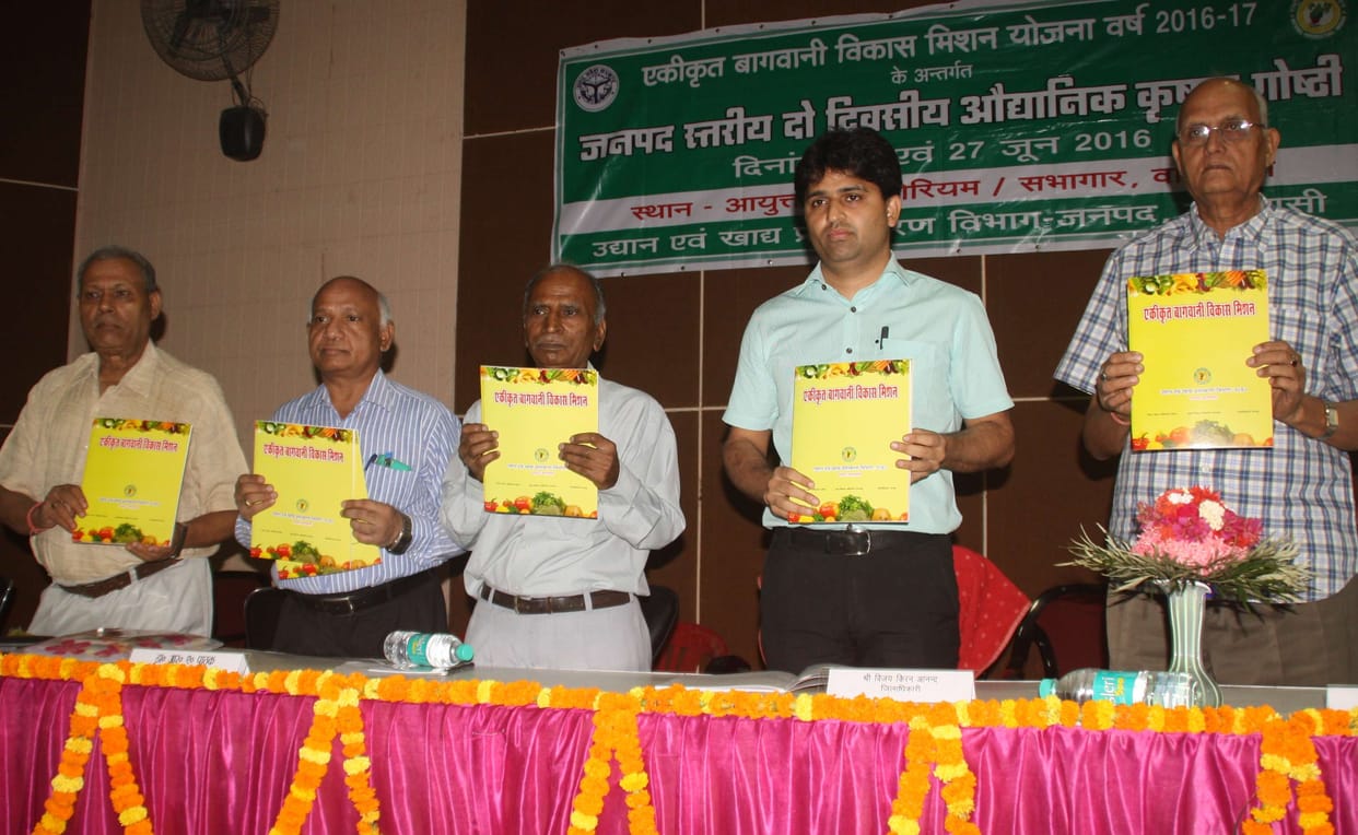 Diversify farming, income increase