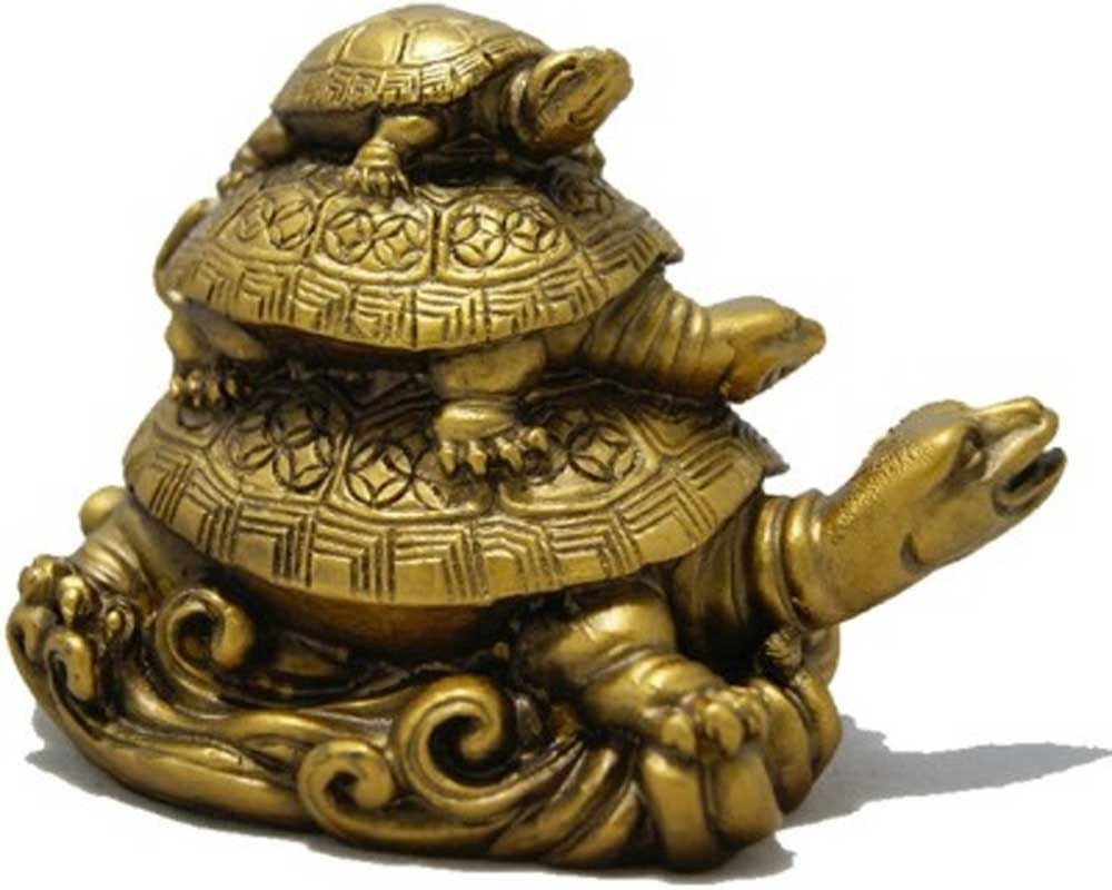 fengshui tips benefits of tortoise in home