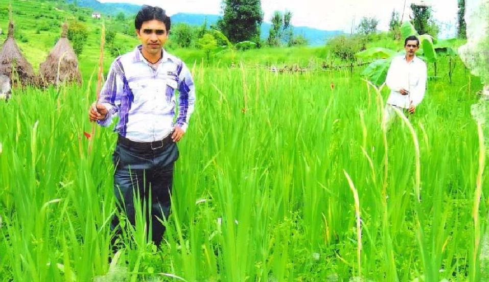 Floriculture in Champawat
