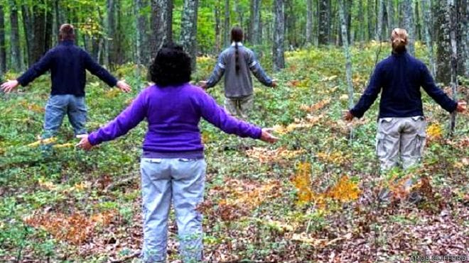  ' Forest Bathing ' To avoid stress