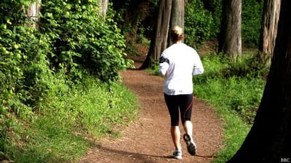  ' Forest Bathing ' To avoid stress