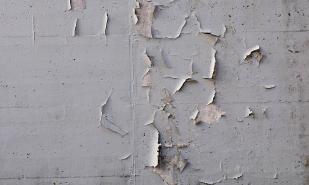 Monsoon Tips To Get Rid Damp Wall And Musty Smell at Home due To Heavy Rain