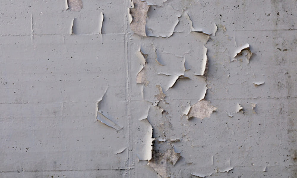Monsoon Tips To Get Rid Damp Wall And Musty Smell at Home due To Heavy Rain