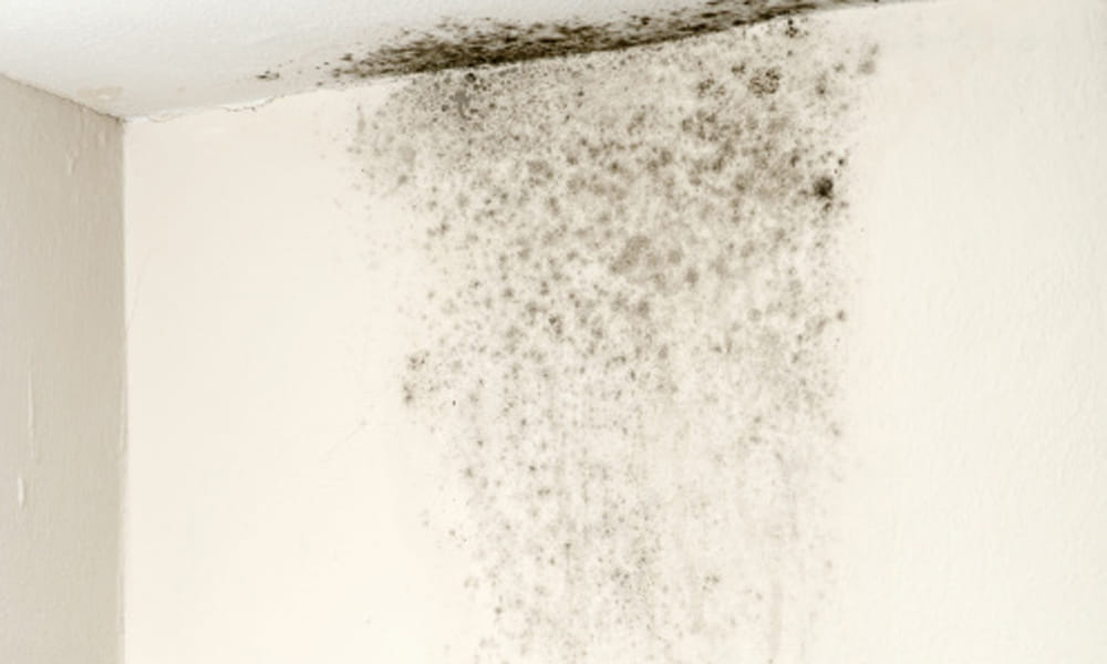 easy tips to avoid dampness on walls