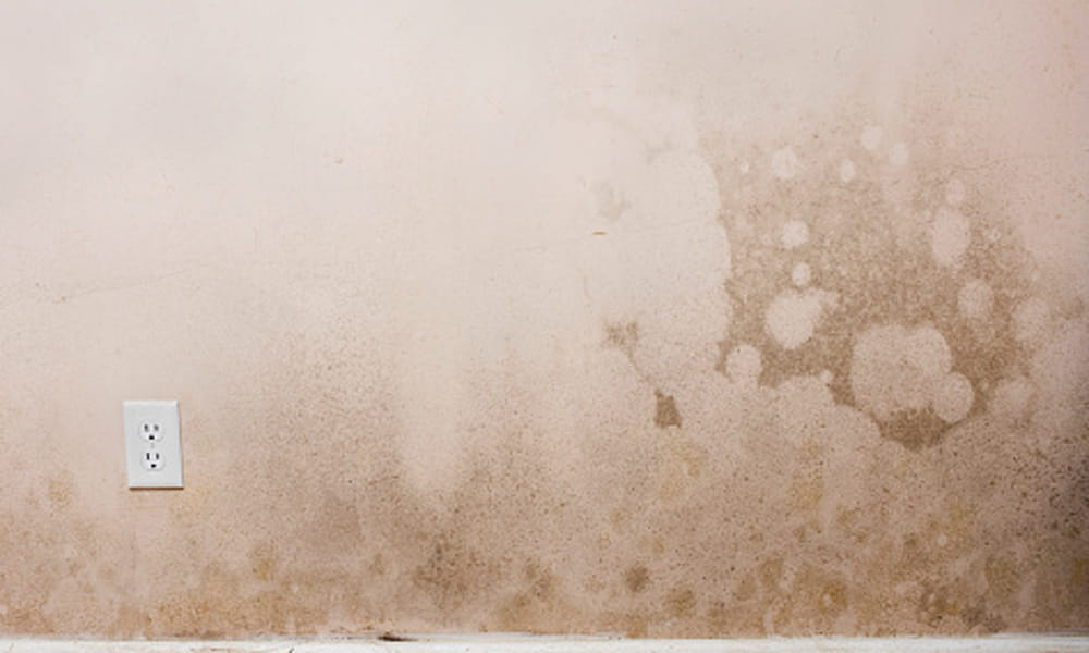 easy tips to avoid dampness on walls