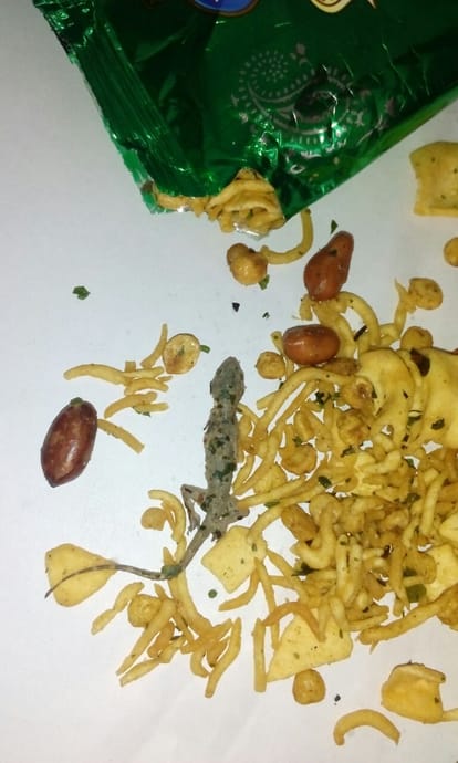 dead lizard found in namkeen