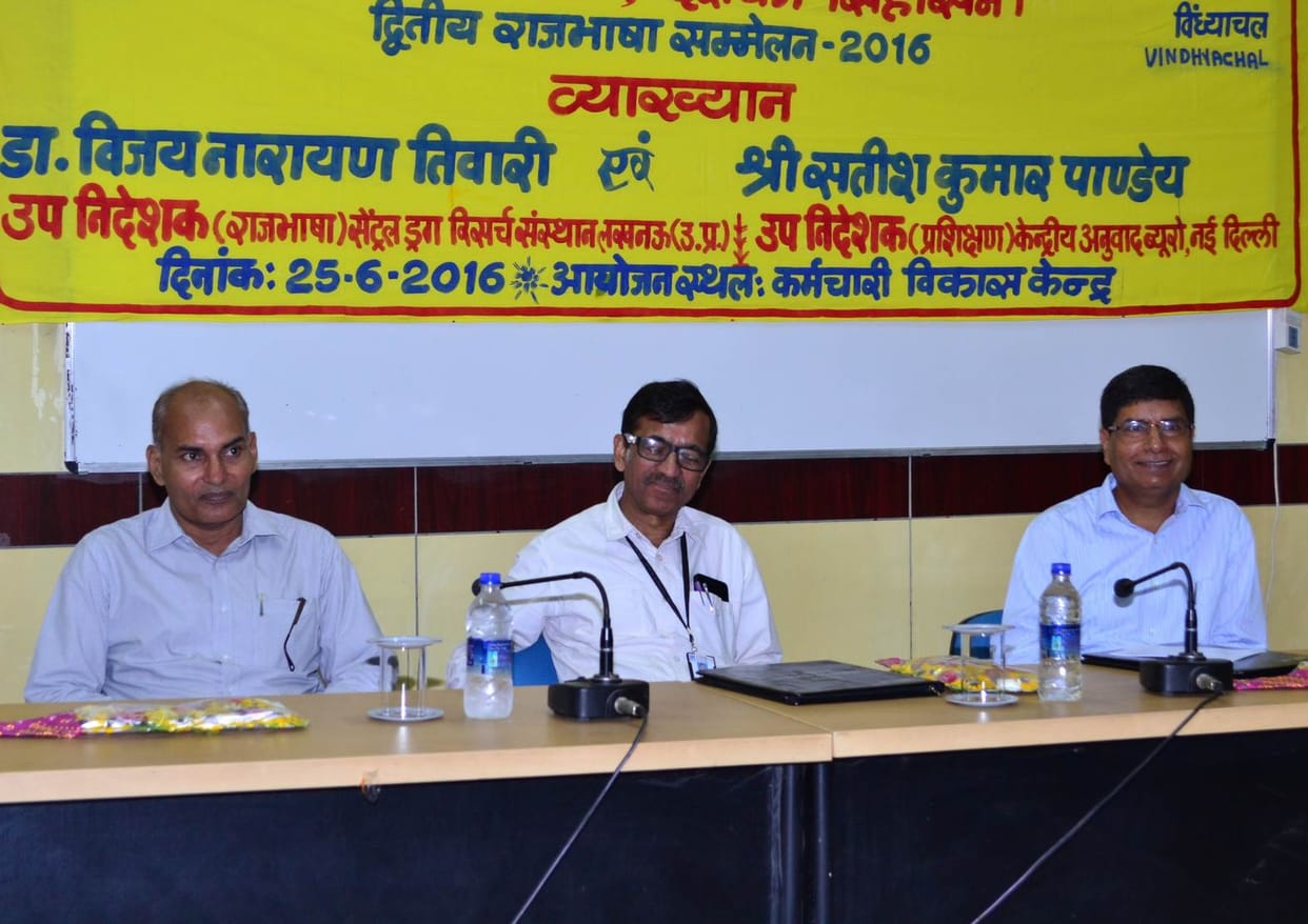 "Please try to promote Hindi '