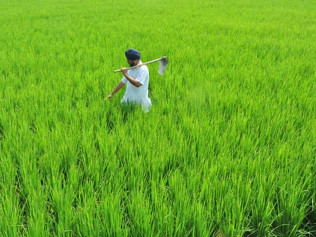 Sarkari Naukri 2021 : RSSB will recruit Agriculture Supervisor on 882 posts