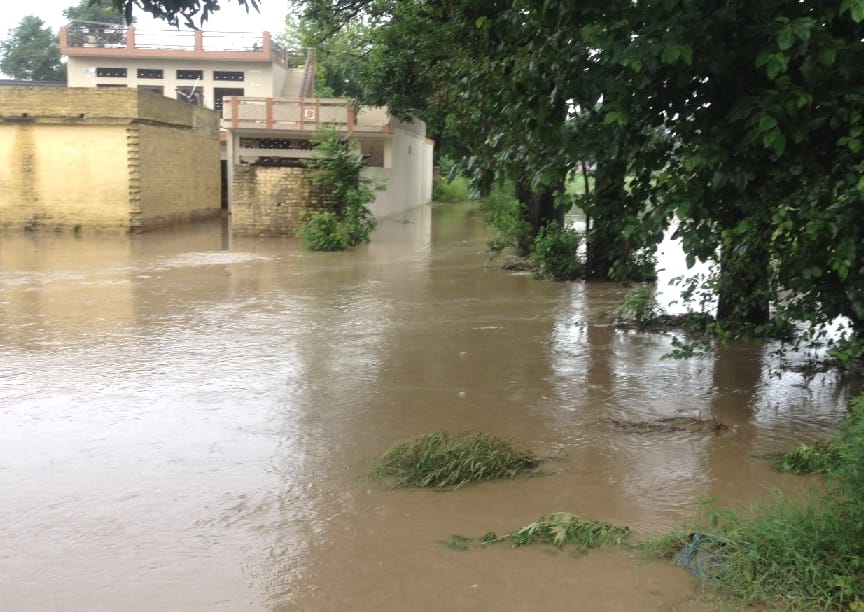Flood after Heavy rainfall in himachal.