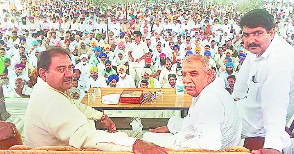 BJP do caste politics, Politics, Abhay Chautala, Haryana Politics, Inelo, BJP, Sirsa