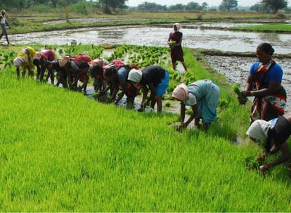 Preparing the agriculture census in Jammu and Kashmir