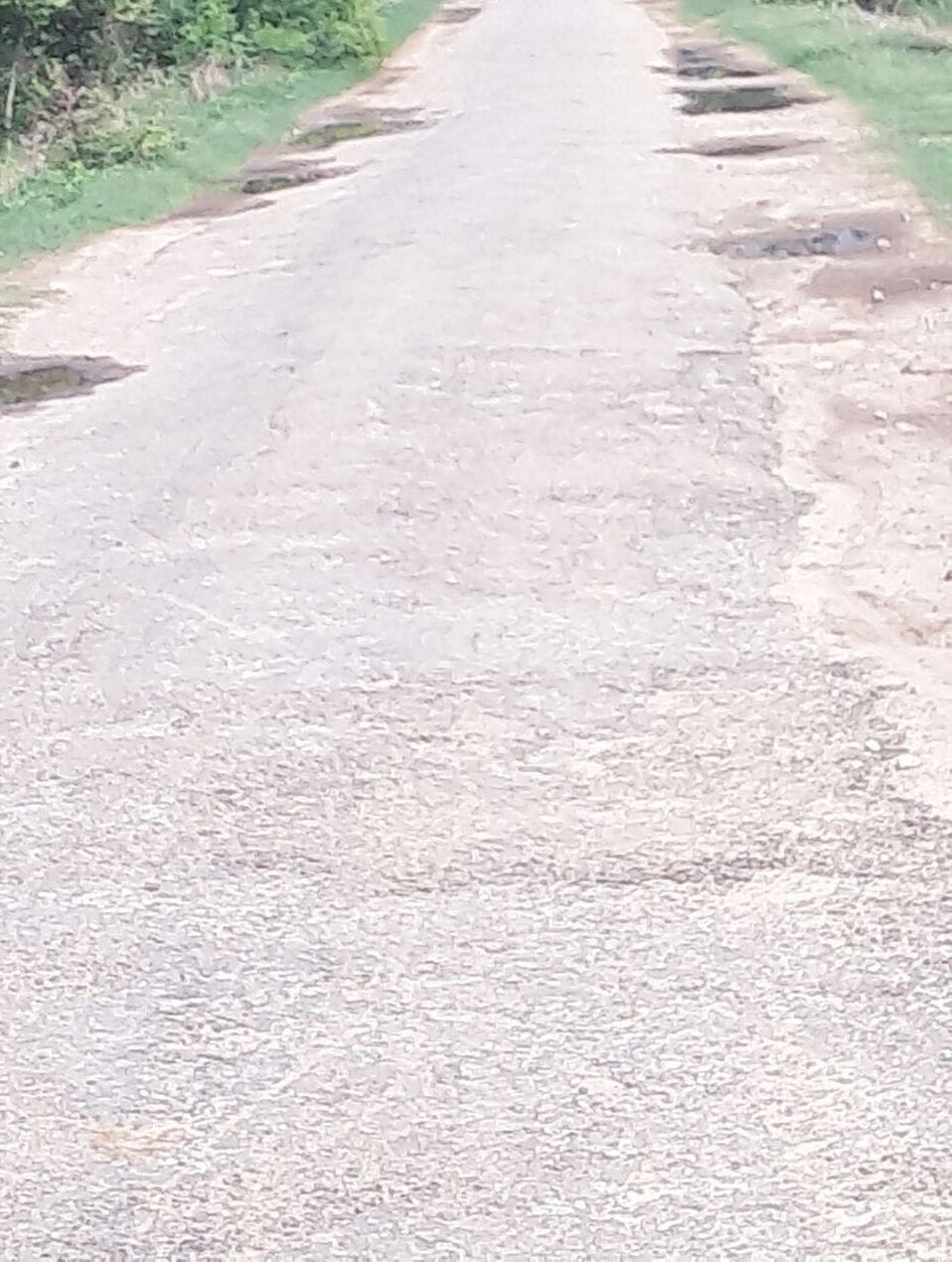 Central Fund Snvregi roads Surat