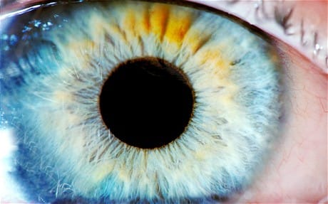 four family members of raebareli suddenly lost their eyesight