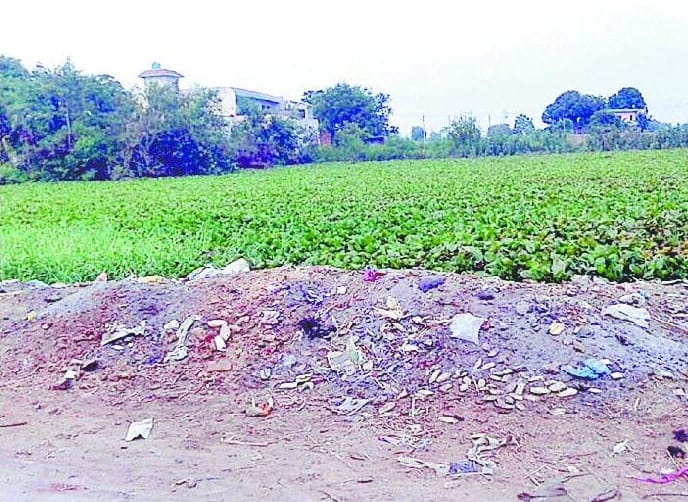 Filth in Gothhara
