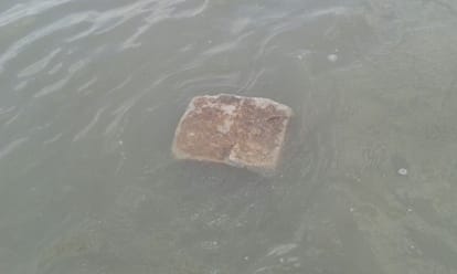 floating stone found near hanuman temple kanpur