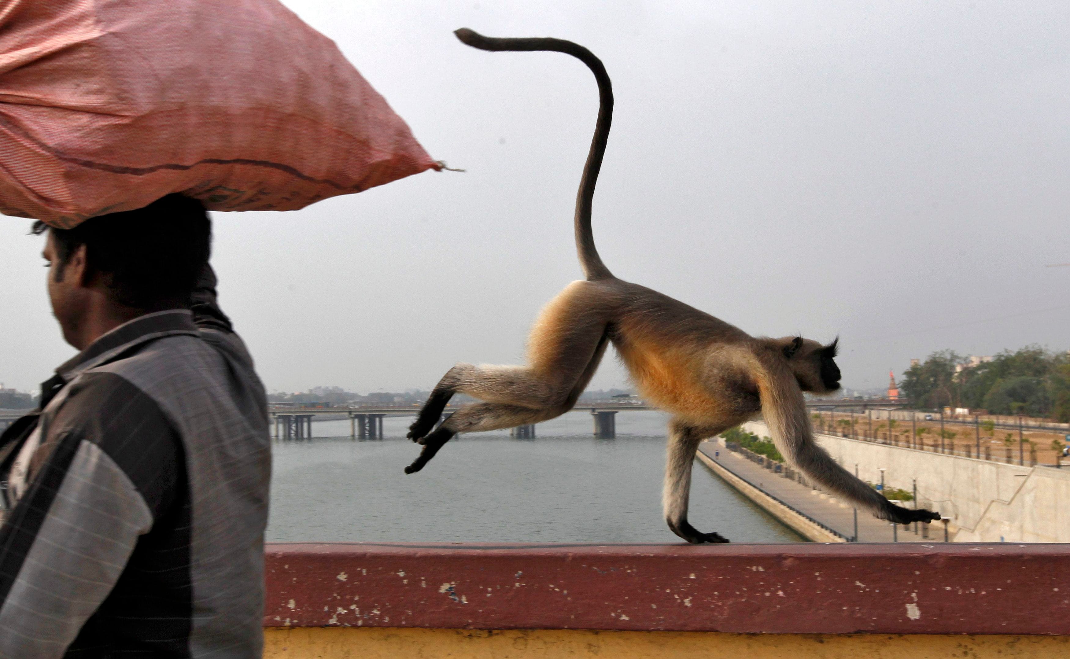 amazing pics of week