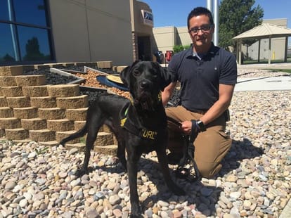 dogs who are trained to sniff hard drives 