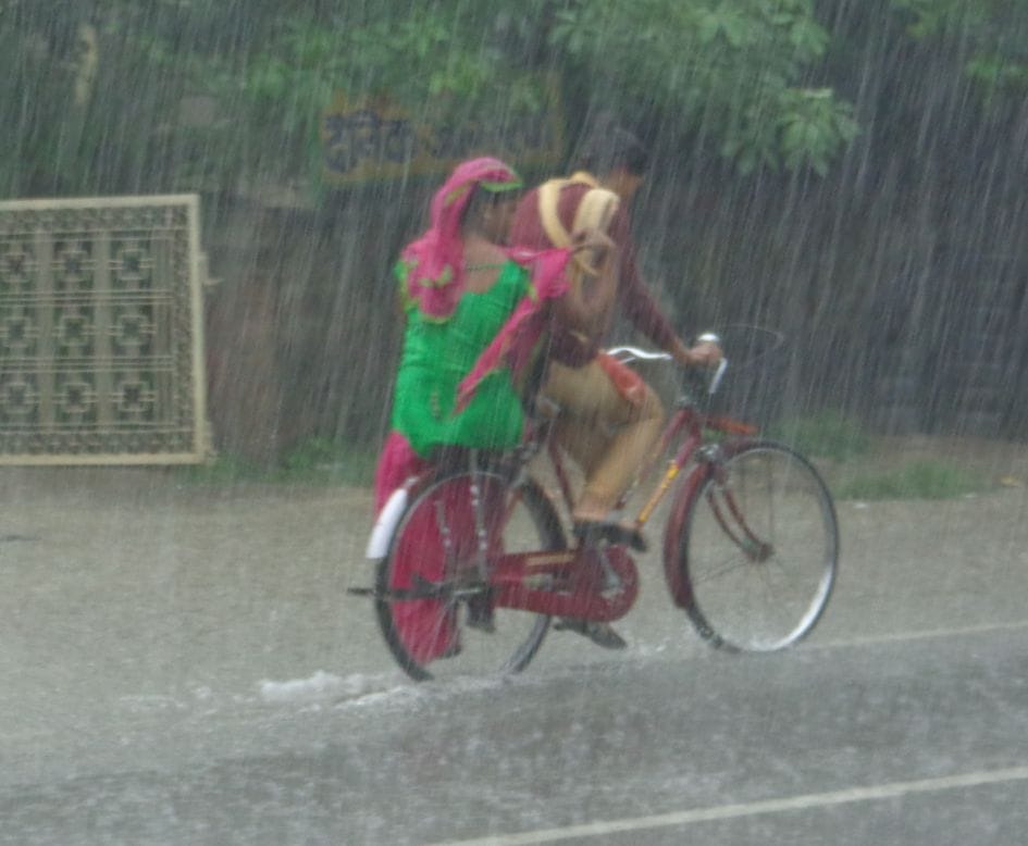First rain, then the increased humidity, sunshine