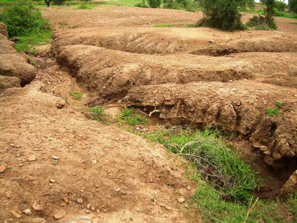 here people are searching coins in the soil