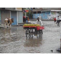 53 mm rainfall in jind 