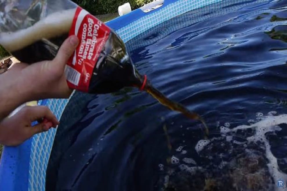 coca cola moves from coke to fruit drinks in india to become number one 