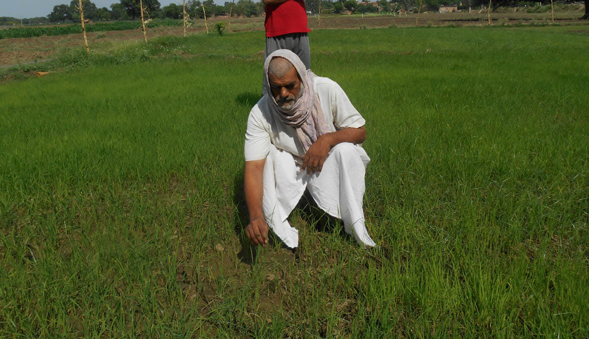 55 thousand farmers without informing deducted premium