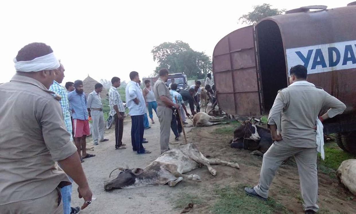 tanker caught with prohibited animals