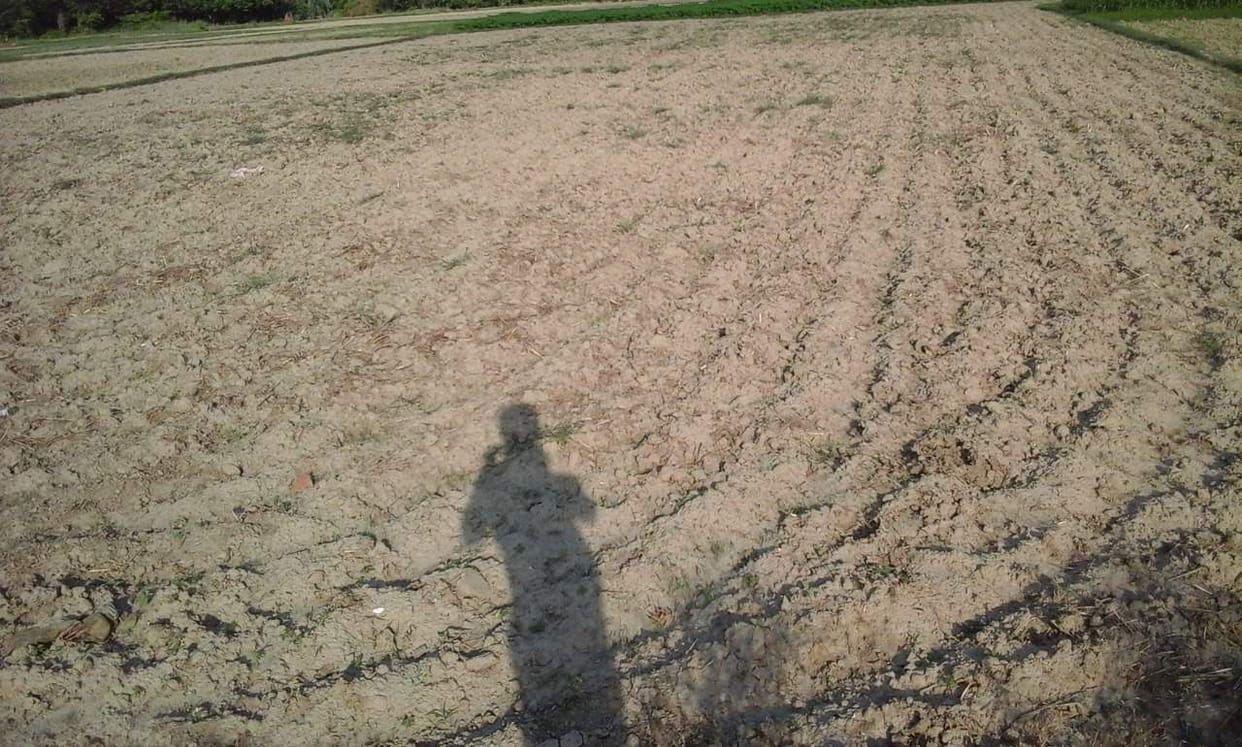 Farmers does farming in Aquired land in Etmadpur