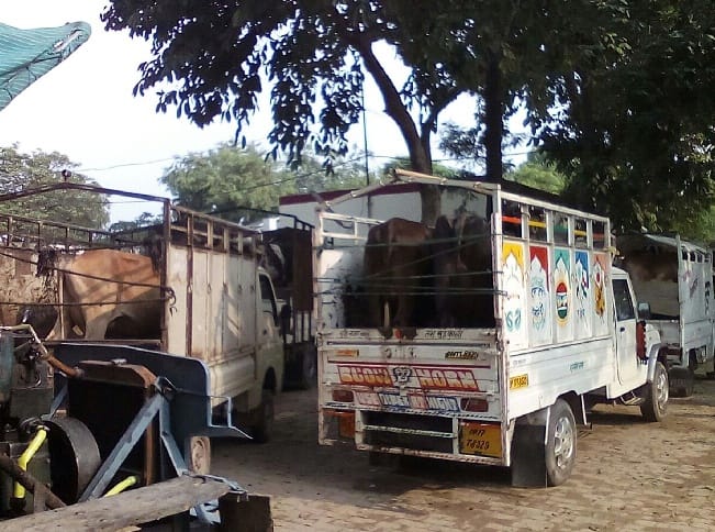 police picked 13 progeny smuggler