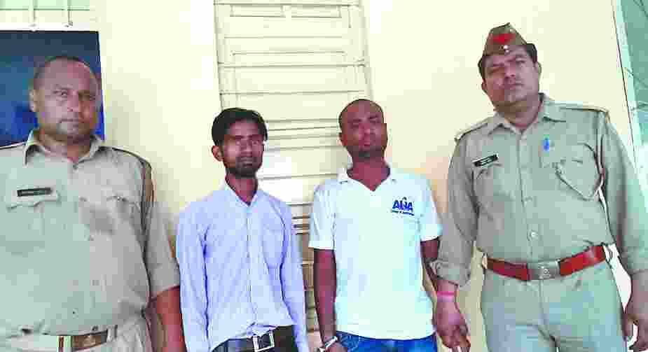 college me rangdaari