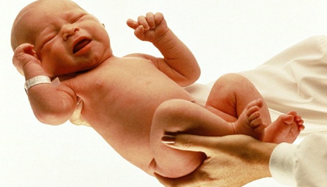 punjab haryana highcourt decision on child care leave 