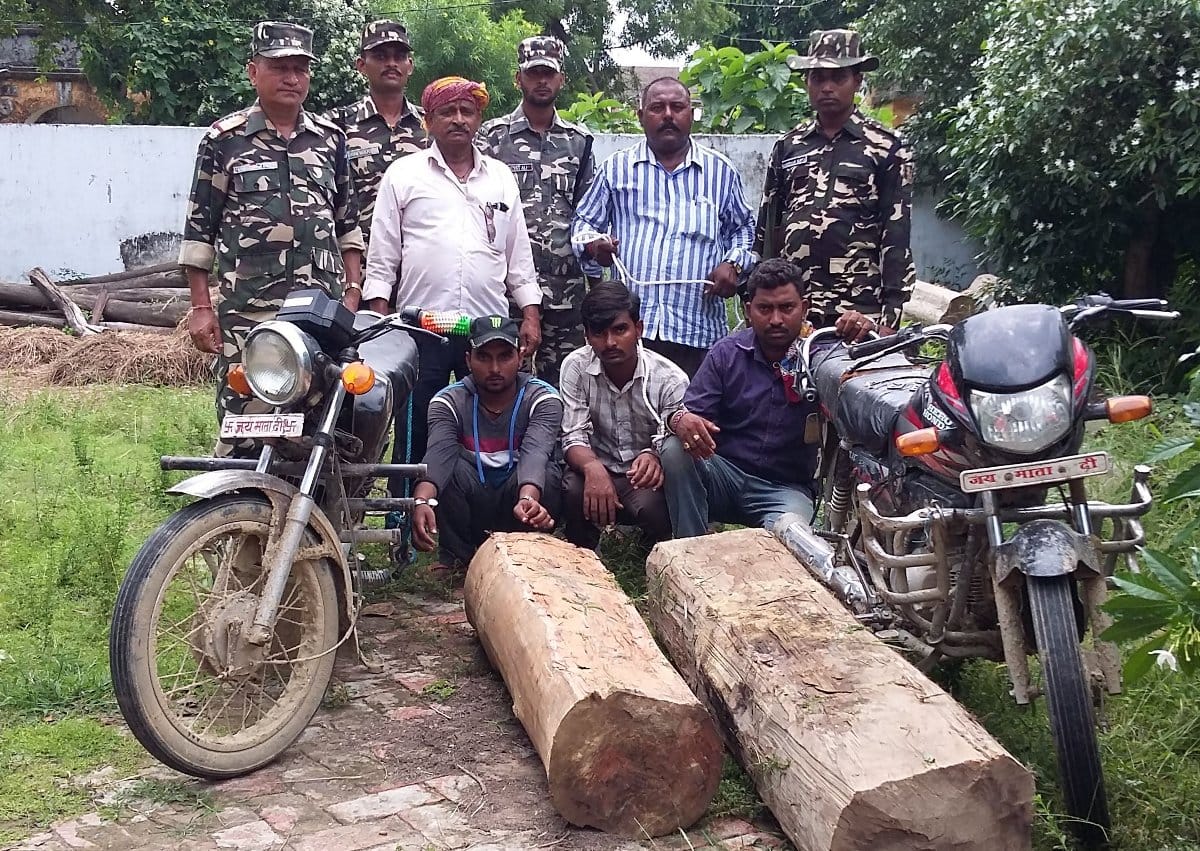 three wood smuggler arrested 
