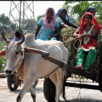 हरचंदरपुर गांव