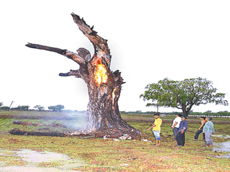 Lightning killed three farmers in Banda