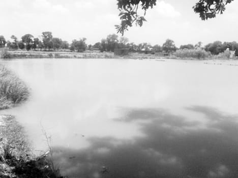 Khadi cut hundreds of bigha farmland submerged in the canal
