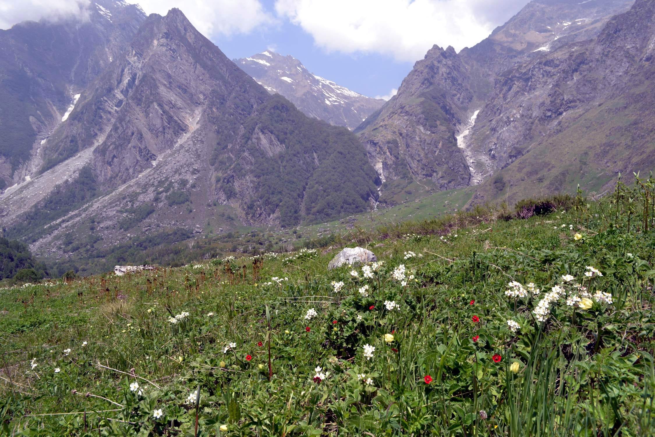 valley of flowers closed for winter season.