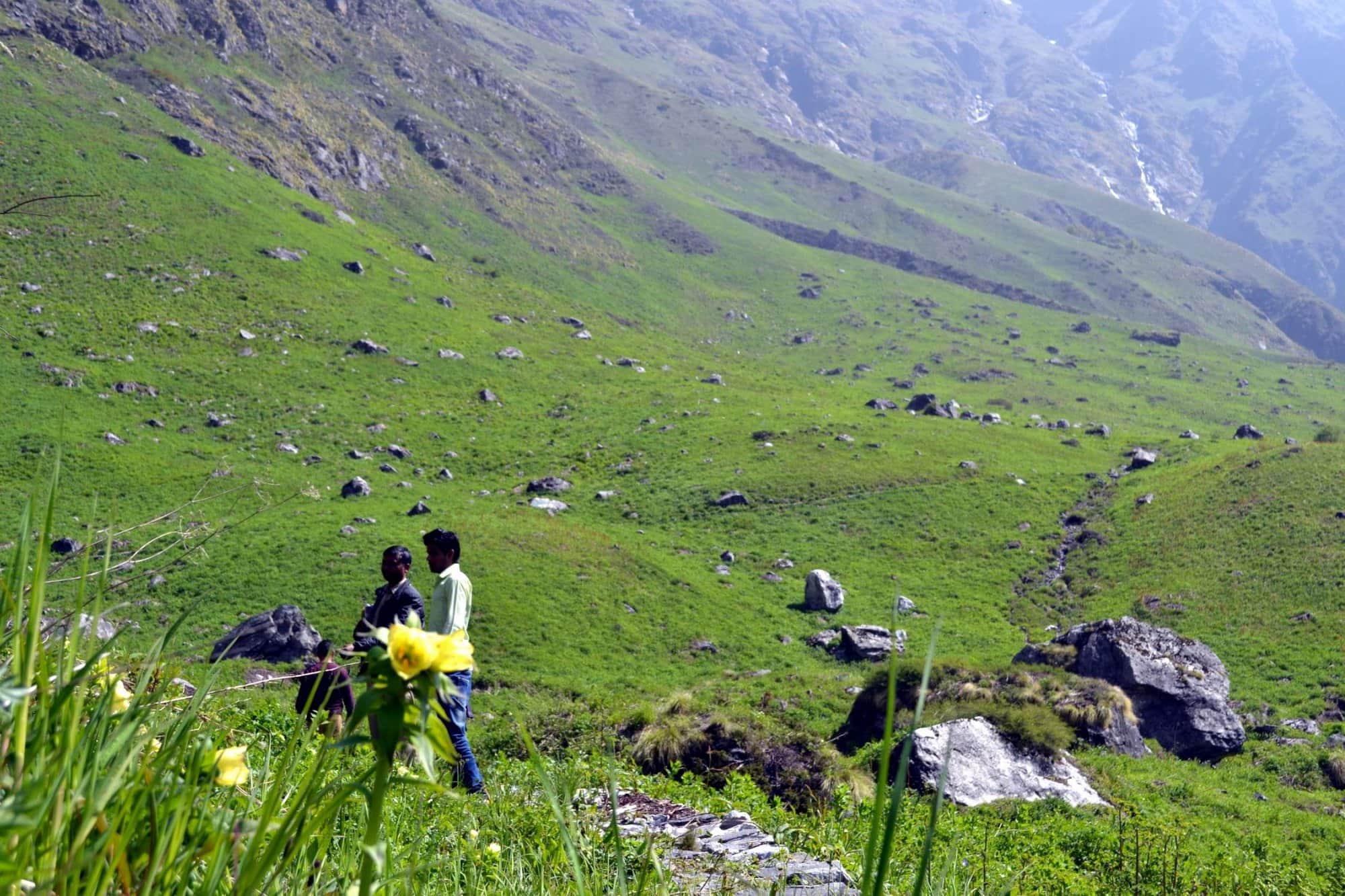 Valley of Flowers very less snowfall in this time effect will be seen on flowers Uttarakhand news in hindi