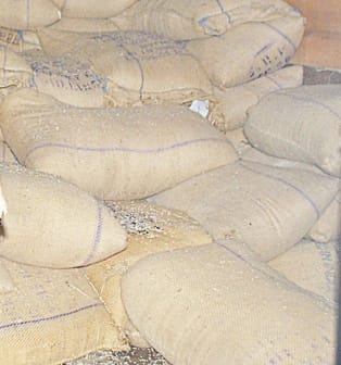 mid day meal grain matter