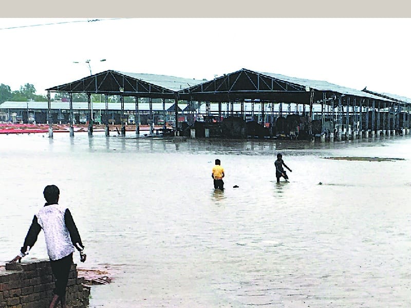 Rain, water, new grain market, waterlogging, farmers, commission, Sunam, Sangrur