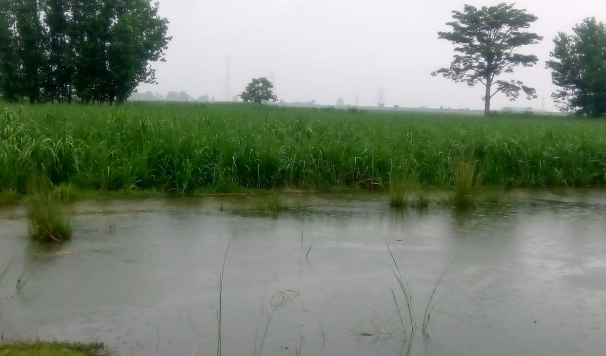 Eight villages In danger