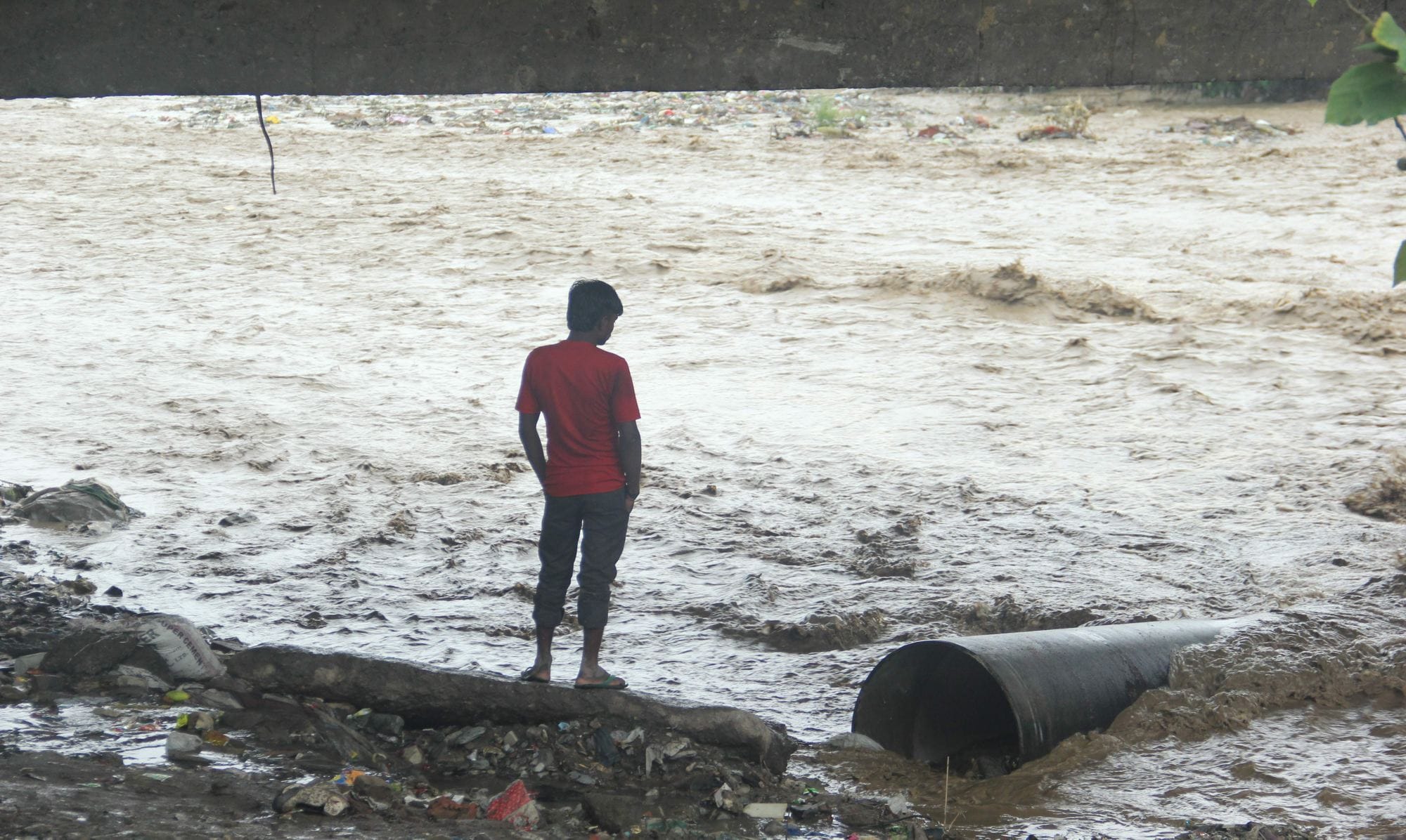 its like flood in dehradun after rain.