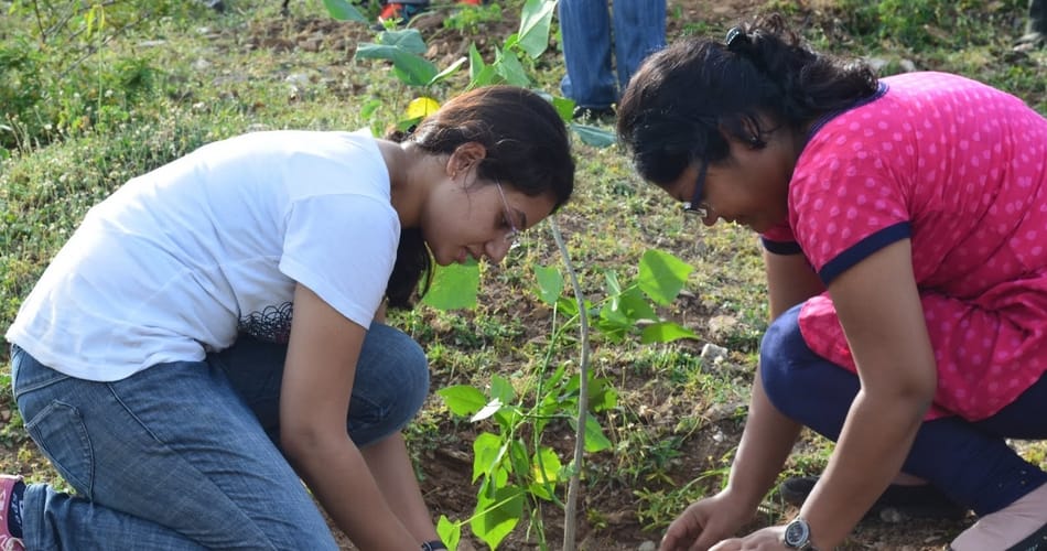 10 lakh saplings will be planted together