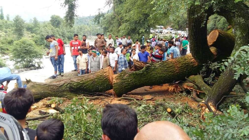 loss due to heavy rainfall in himachal