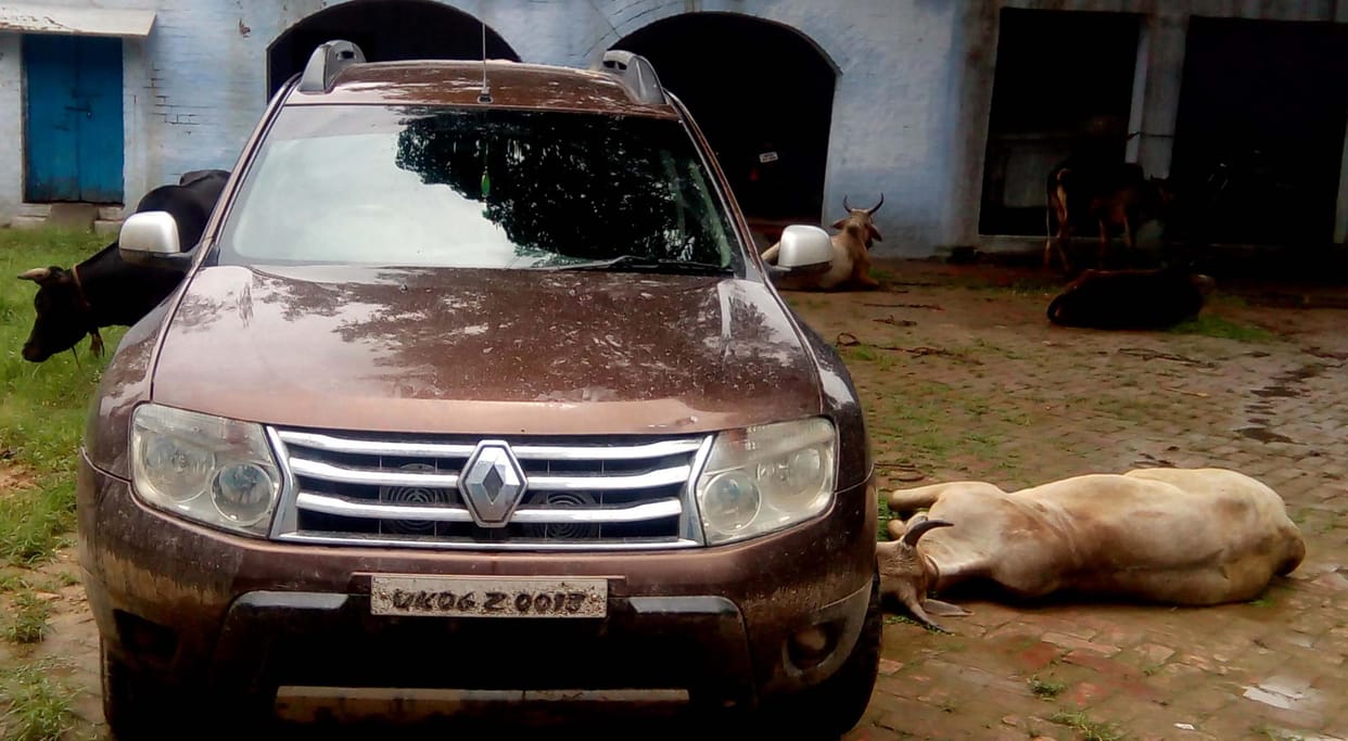 Animal smugglers Police Attack, ACP injured