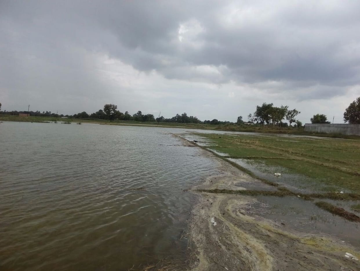 Five hundred acres of crops destroyed from canal cuts