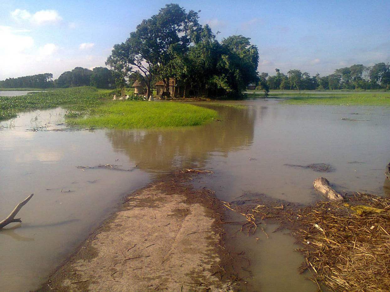 piparaghat became maroond