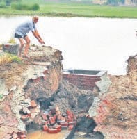 10 acres of crops submerged, by breaking Rjbahe Ptdi, karnal