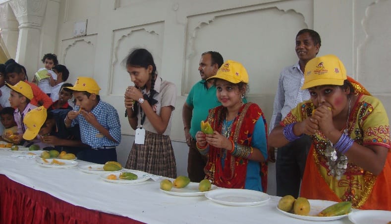 mango festival, yadvindra garden, mango festival at pinjore, pinjore garden, pinjore